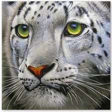 Cross stitch pattern: #981241