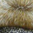 Preview of cross stitch pattern: #981244