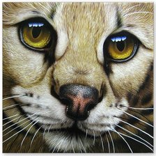 Cross stitch pattern: #981244