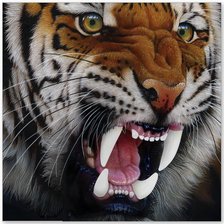 Cross stitch pattern: #981247