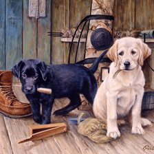 Cross stitch pattern: #982485