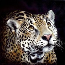 Cross stitch pattern: #982563