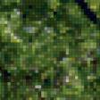 Preview of cross stitch pattern: #984928