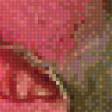 Preview of cross stitch pattern: #985295