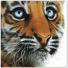 Cross stitch pattern: #986302