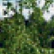 Preview of cross stitch pattern: #986448
