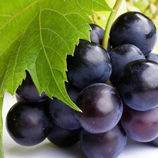 Cross stitch pattern: #986665