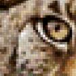 Preview of cross stitch pattern: #986864