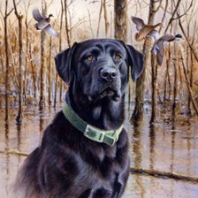 Cross stitch pattern: #987579