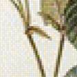 Preview of cross stitch pattern: #988025