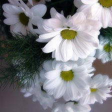 Cross stitch pattern: #988111