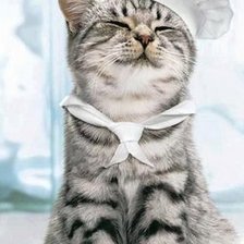 Cross stitch pattern: #988248