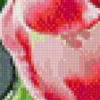 Preview of cross stitch pattern: #989146