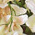 Preview of cross stitch pattern: #989402