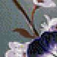 Preview of cross stitch pattern: #989482