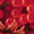 Preview of cross stitch pattern: #989636