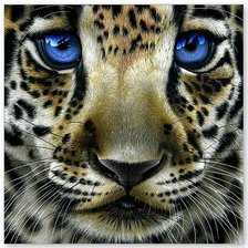 Cross stitch pattern: #990493