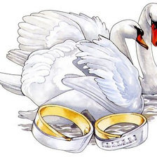 Cross stitch pattern: #990514
