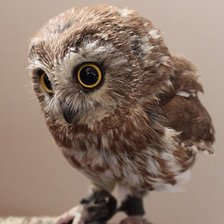 Cross stitch pattern: #990690