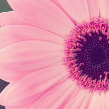 Cross stitch pattern: #990739