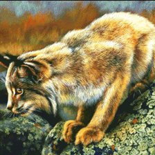 Cross stitch pattern: #991669