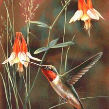 Cross stitch pattern: #991832