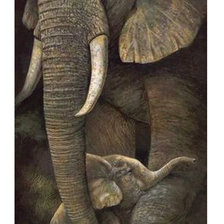 Cross stitch pattern: #992091