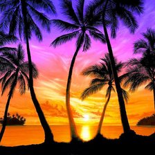 Cross stitch pattern: #992205