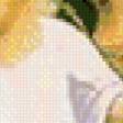 Preview of cross stitch pattern: #992308