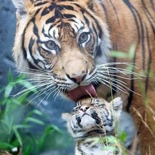 Cross stitch pattern: #993718