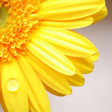 Cross stitch pattern: #994972