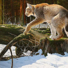 Cross stitch pattern: #996215