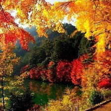 Cross stitch pattern: #996692