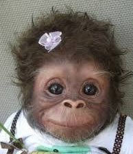 Cross stitch pattern: #997083