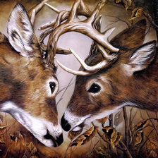 Cross stitch pattern: #1000621