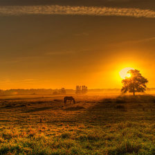 Cross stitch pattern: #1003626