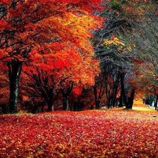 Cross stitch pattern: #1006206