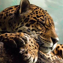 Cross stitch pattern: #1007825