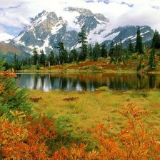 Cross stitch pattern: #1009629