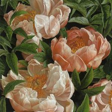 Cross stitch pattern: #1009748