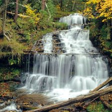 Cross stitch pattern: #1014581