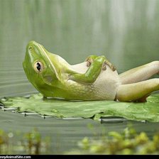 Cross stitch pattern: #1015312