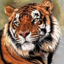Cross stitch pattern: #1016031