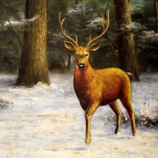 Cross stitch pattern: #1016287