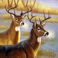 Cross stitch pattern: #1016289