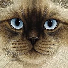 Cross stitch pattern: #1016875