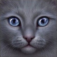 Cross stitch pattern: #1016879