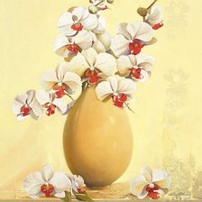 Cross stitch pattern: #1017381