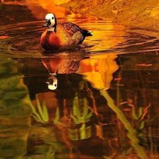 Cross stitch pattern: #1020117