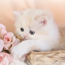 Cross stitch pattern: #1020119